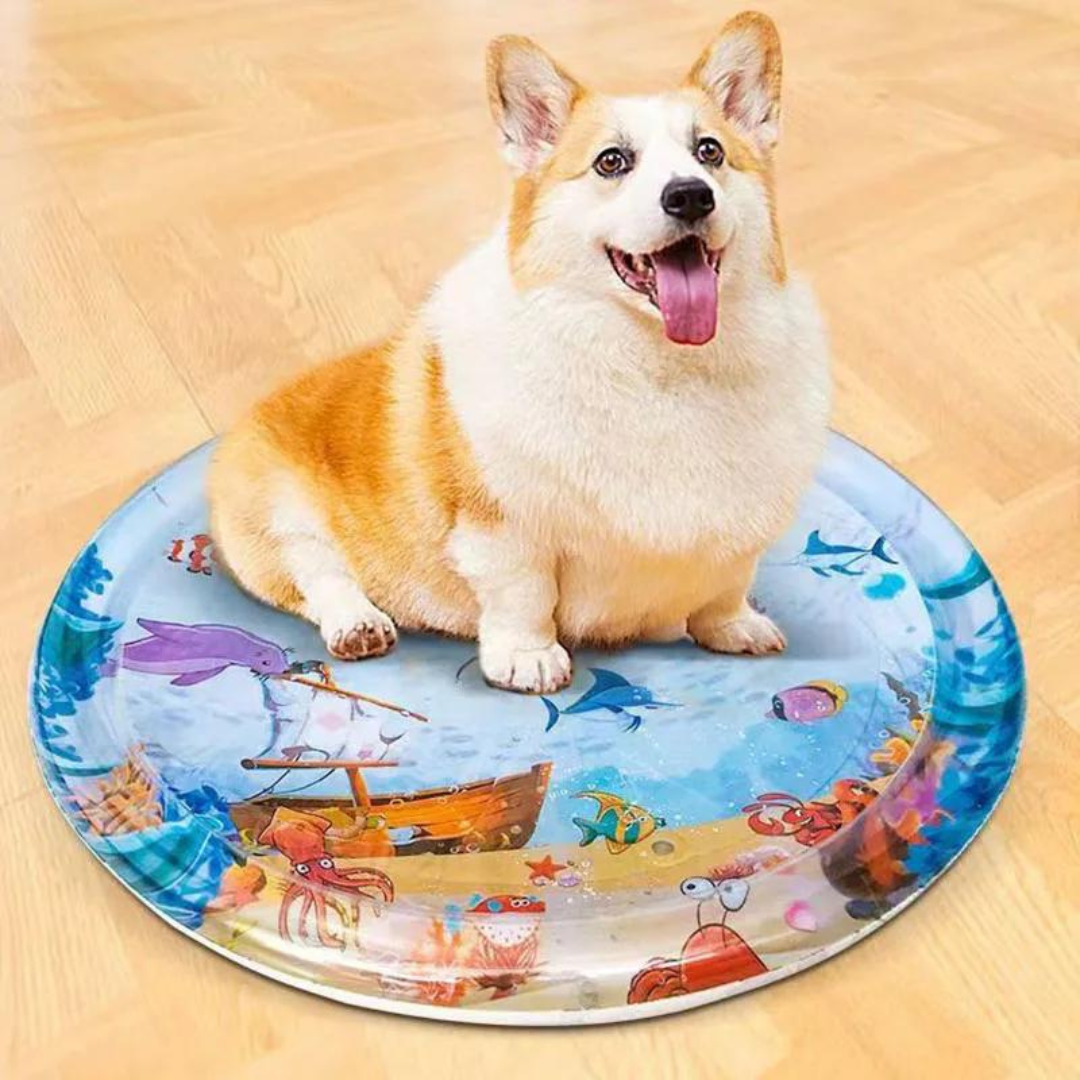 tapete refrescante para pet